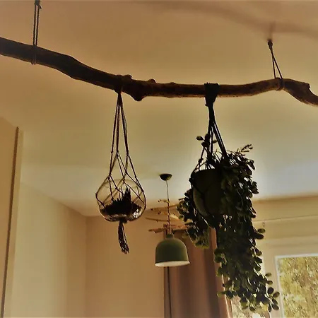 Mon Fare Argelès-sur-Mer